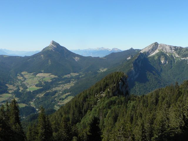 p1040335.jpg