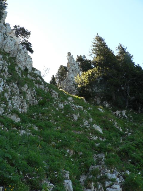 p1040340.jpg