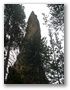 dscn0140.jpg