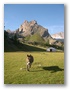 dscn0169.jpg
