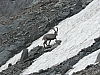 P1010601.jpg
