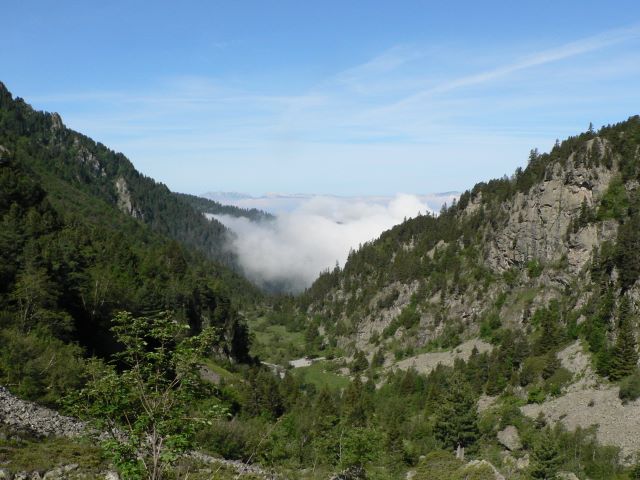 p1040056.jpg