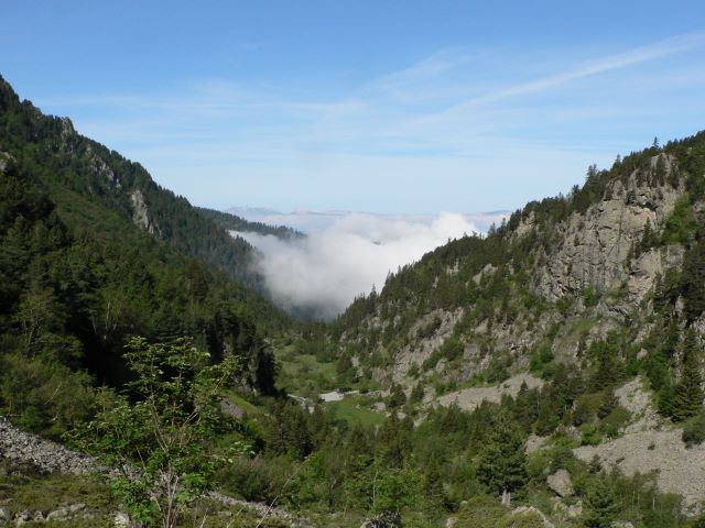 p1040057.jpg