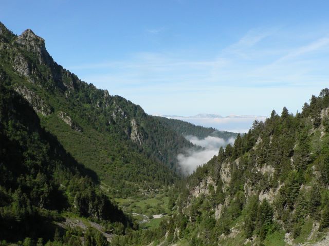 p1040059.jpg