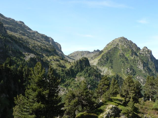 p1040061.jpg
