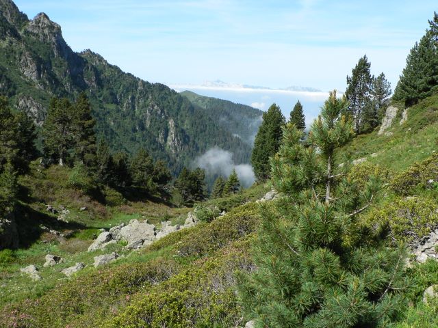 p1040062.jpg