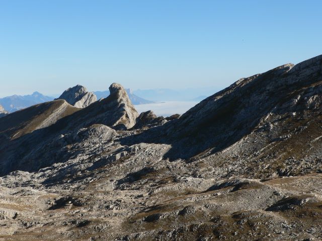 p1080452.jpg
