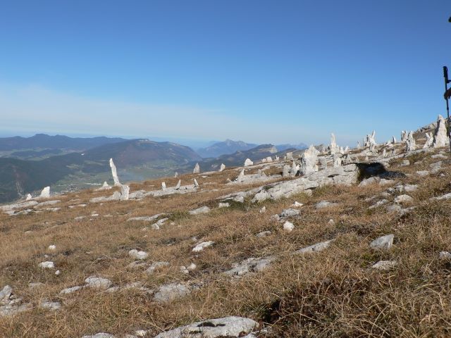 p1080497.jpg