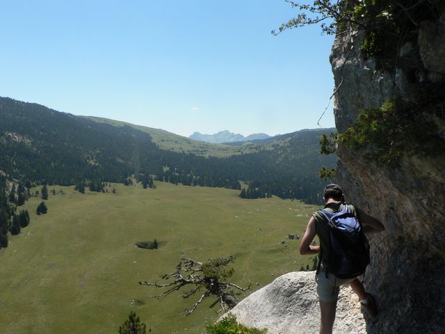 p1040542.jpg
