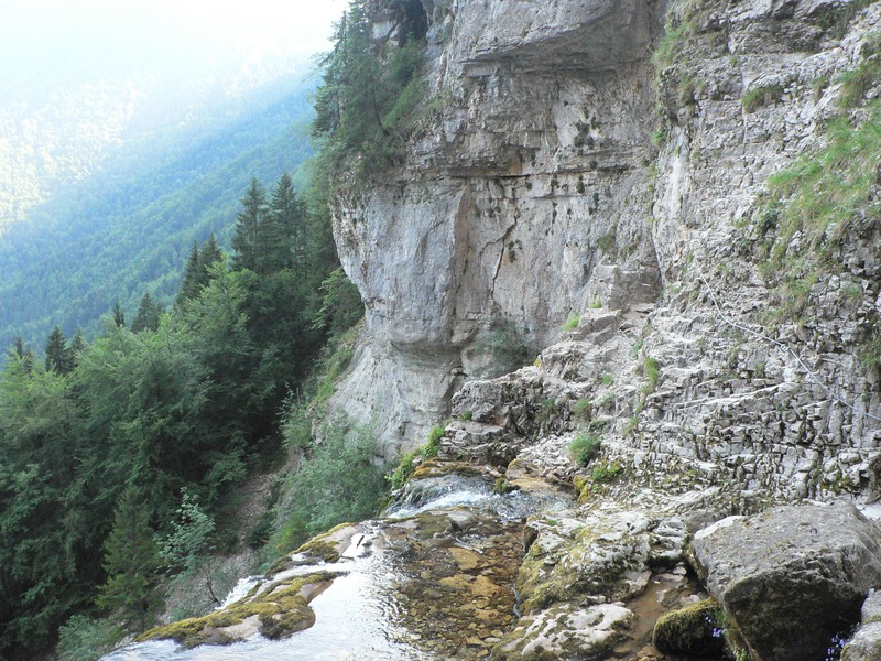 P1010638.jpg