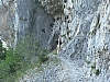 P1010655.jpg