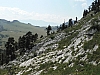 P1010661.jpg