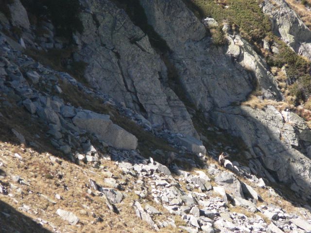 p1040885.jpg
