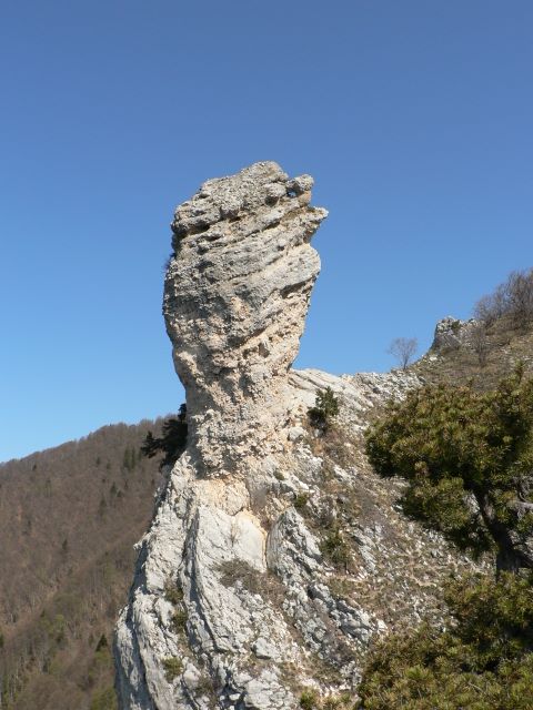 p1030341.jpg