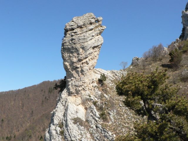 p1030342.jpg