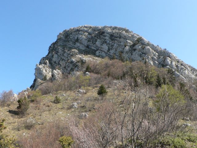 p1030344.jpg
