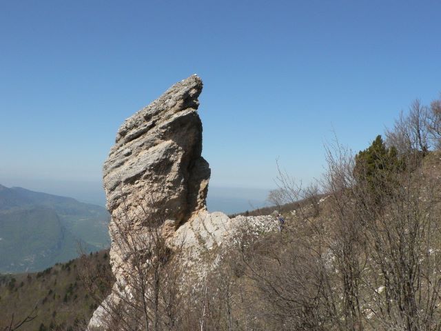 p1030346.jpg