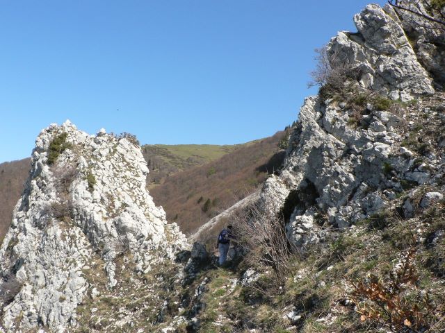 p1030350.jpg