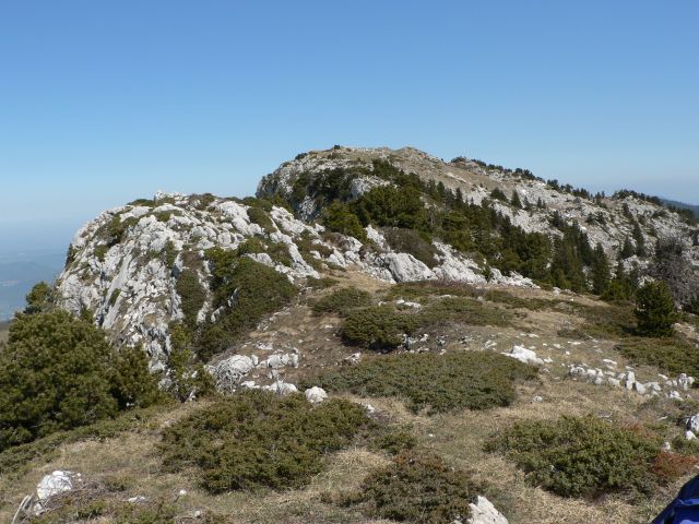 p1030356.jpg