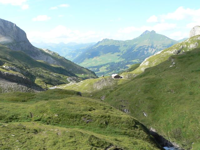 p1040420.jpg