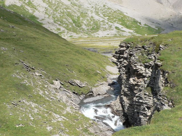 p1040421.jpg