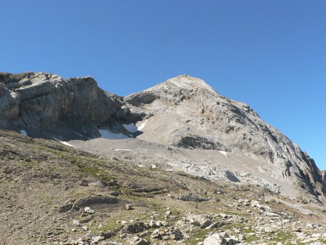 p1040445.jpg